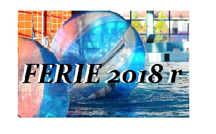Zapraszamy na FERIE 2018 na basenie